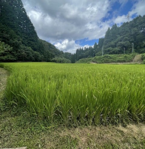 作業風景